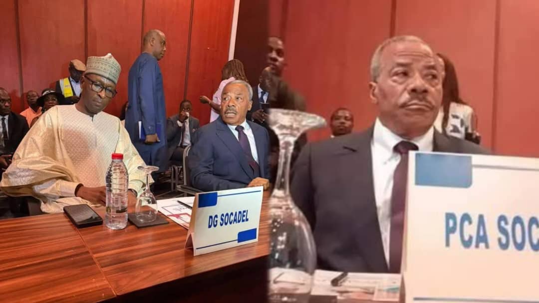 Cameroun : Installation officielle des dirigeants de la SOCADEL, nouvelle société d'électricité
