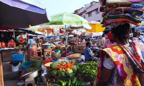 La CEMAC harmonise la collecte de données sur le commerce transfrontalier informel