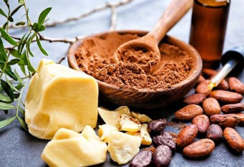 Cacao : Une nouvelle usine de transformation de 32 000 tonnes en construction à Baré Bakem