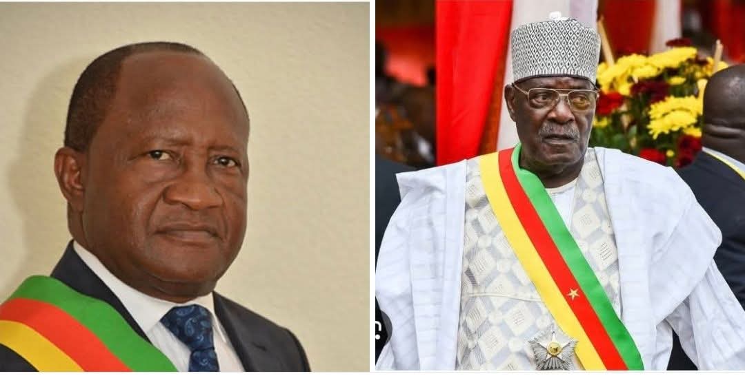 National Assembly: Datouo Théodore replaces Cavaye Yéguié Djibril as Speaker