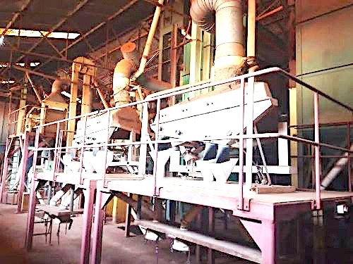 L'UCCAO inaugure une unité de transformation de café à Bafoussam pour relancer la filière