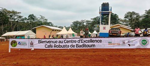 Le Cameroun inaugure son premier centre d'excellence pour le café robusta dans la région de l'Est