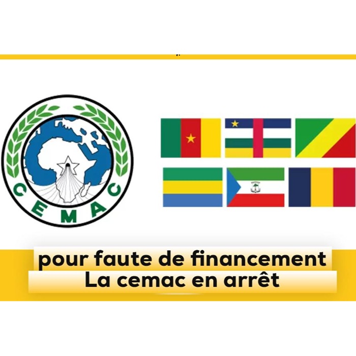 Pourquoi la BVMAC peine à séduire les épargnants camerounais : entre terrain, tontine et obligations
