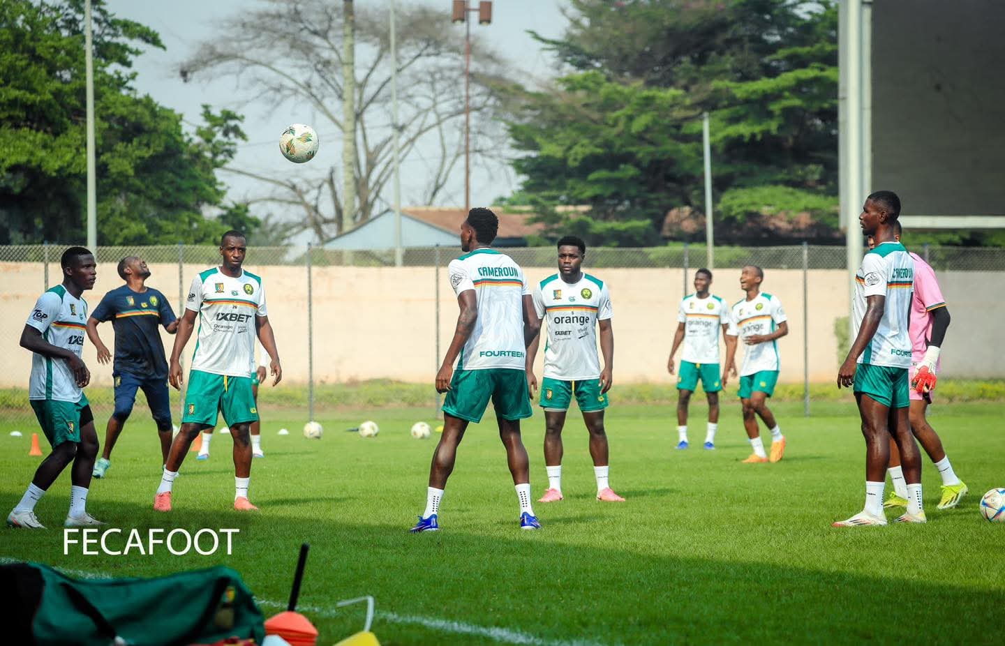Lions Indomptables : la préparation s'intensifie à Yaoundé