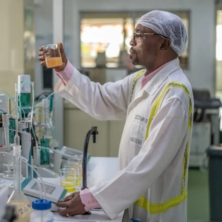 Nestlé Cameroon Honored for Environmental Commitment and Customer Relations