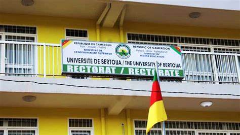 Cameroun : Priorité à la jeunesse pour la sélection de 600 doctorants dans les universités d'État